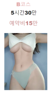 이용안내